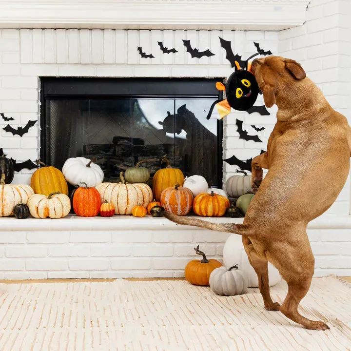 Fringe Dog Toy Halloween Bat's The Way It Is
