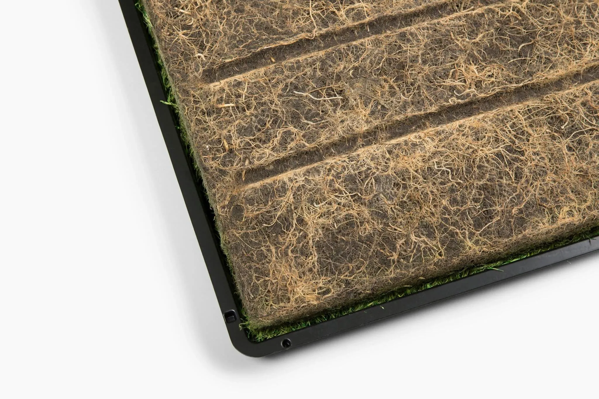 Gotta Go Grass 2 Pack with Tray   Waste Bags