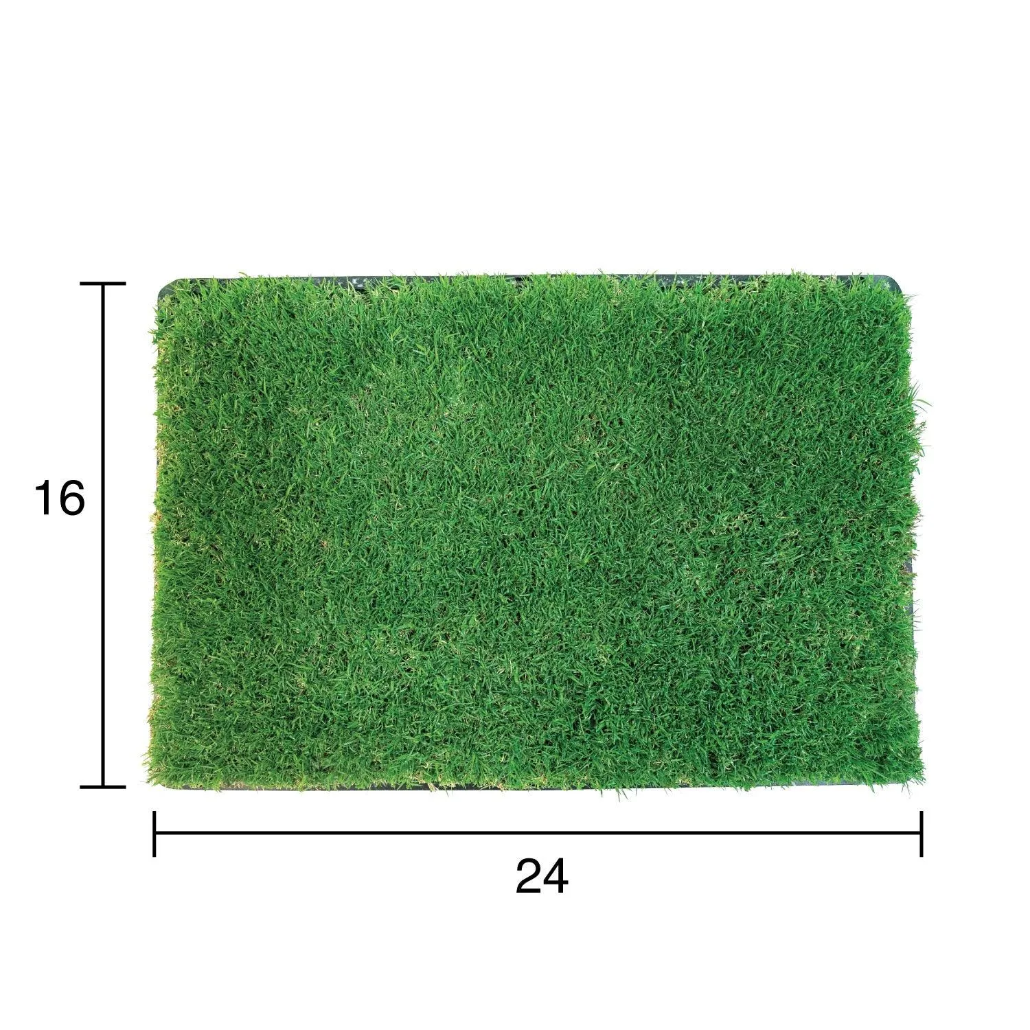 Gotta Go Grass Refill 2pk   Waste Bags   Waste Bag Dispenser