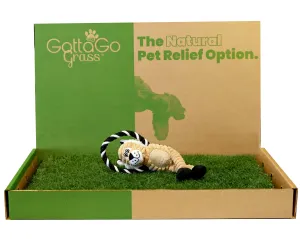 Gotta Go Grass with Tray   Squeaky Toy