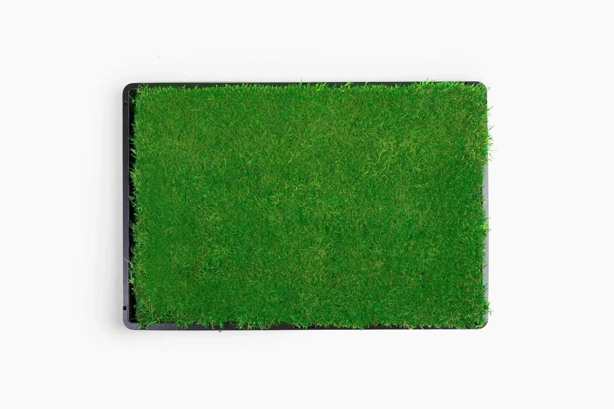 Gotta Go Grass with Tray   Waste Bags