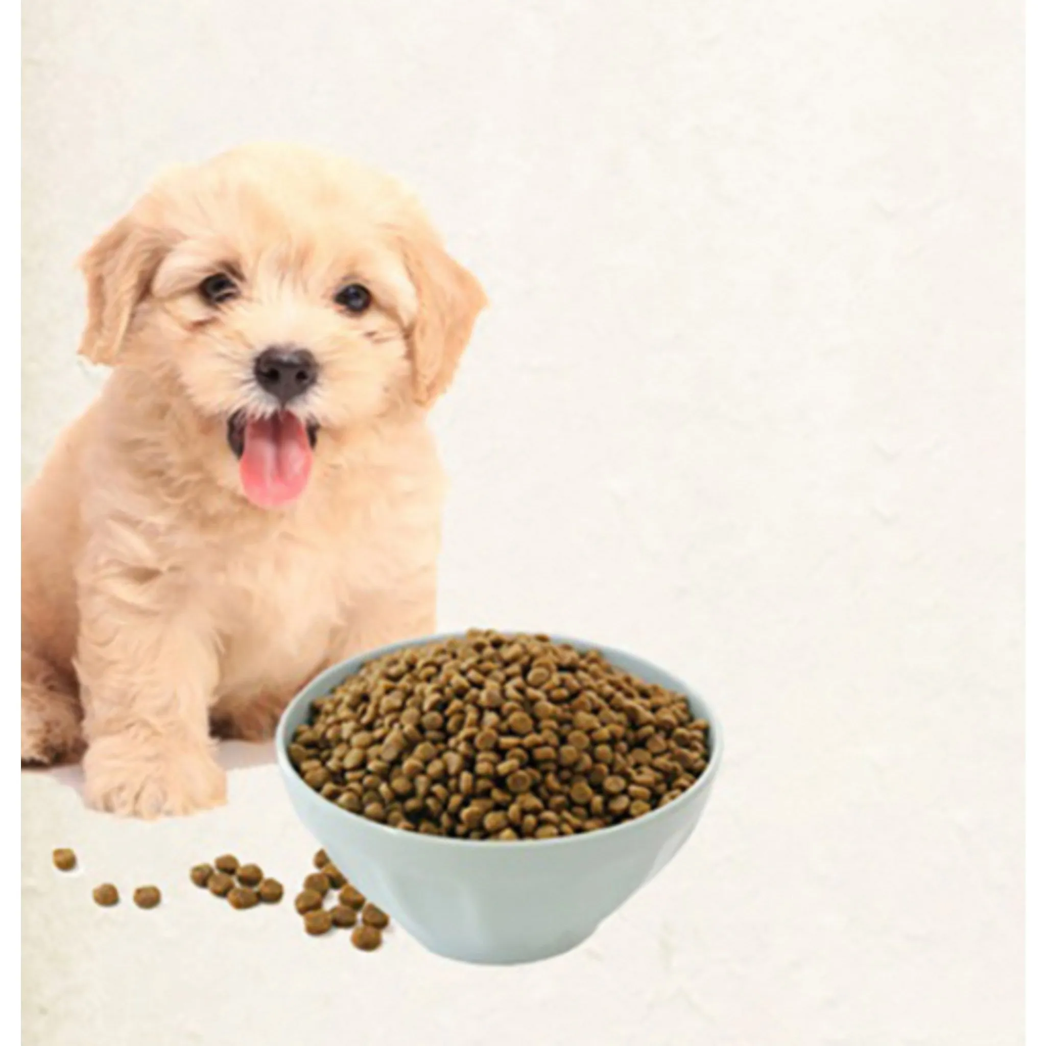 Health White Paper All-Age Functional Dog Food, Bone/Joint Support, 6kg, 1 Pack - 🏆 #74 - Pet Supplies - Best of December