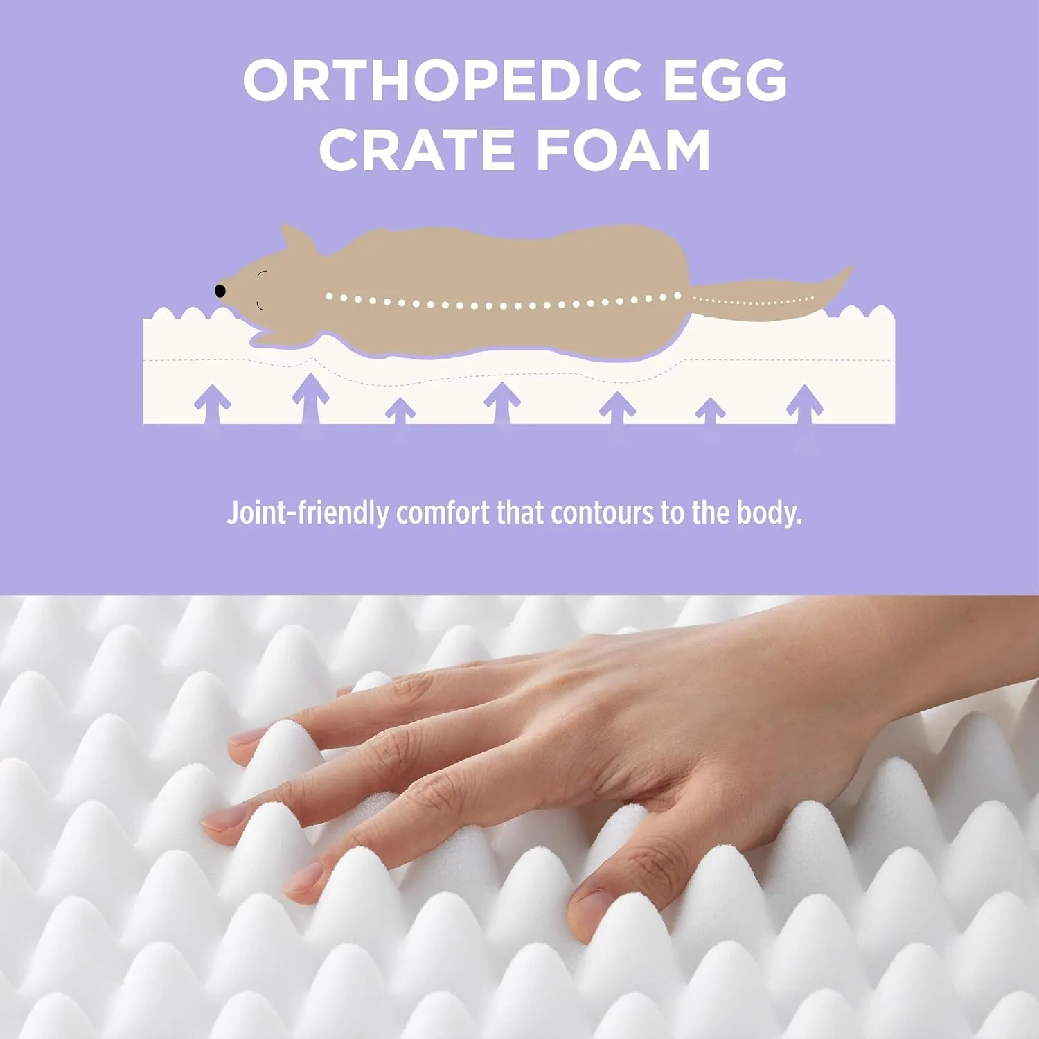 Lesure Cute Orthopedic Dog Bed for Crate, Large Waterproof Chic Flat Pet Beds with Removable Washable Cover, Fuzzy Thick Egg Crate Foam Pet Mat for Indoor Dogs (35" x 22", Cream)