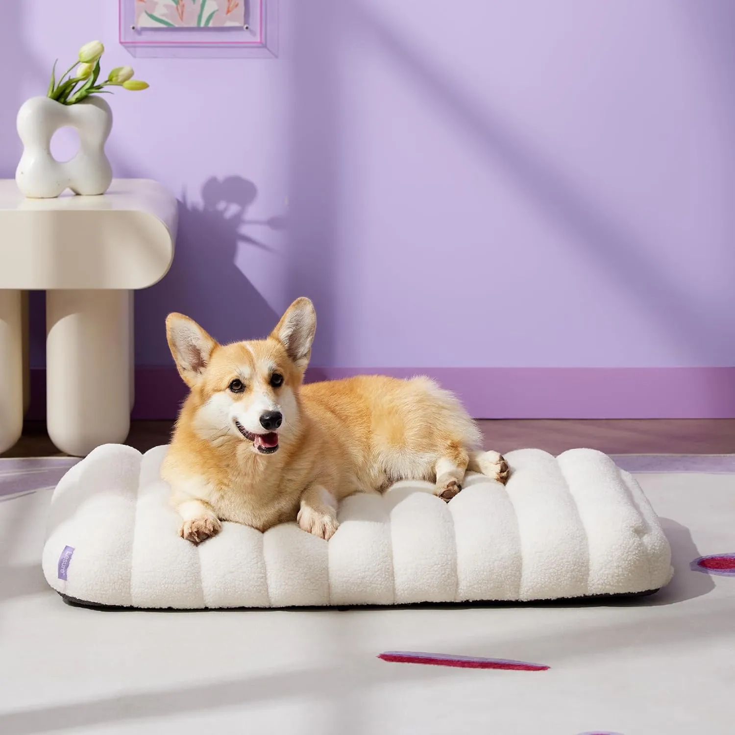 Lesure Cute Orthopedic Dog Bed for Crate, Large Waterproof Chic Flat Pet Beds with Removable Washable Cover, Fuzzy Thick Egg Crate Foam Pet Mat for Indoor Dogs (35" x 22", Cream)