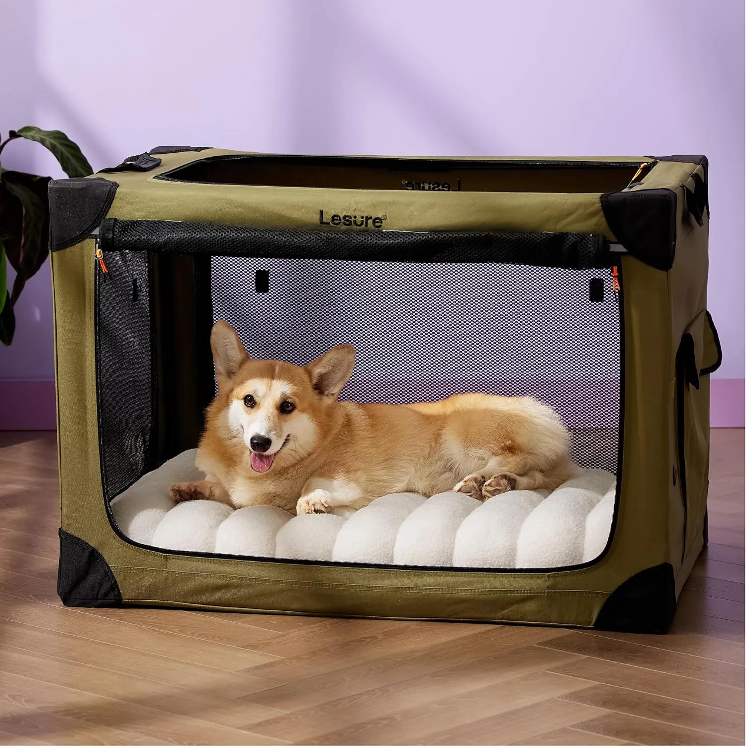 Lesure Cute Orthopedic Dog Bed for Crate, Large Waterproof Chic Flat Pet Beds with Removable Washable Cover, Fuzzy Thick Egg Crate Foam Pet Mat for Indoor Dogs (35" x 22", Cream)