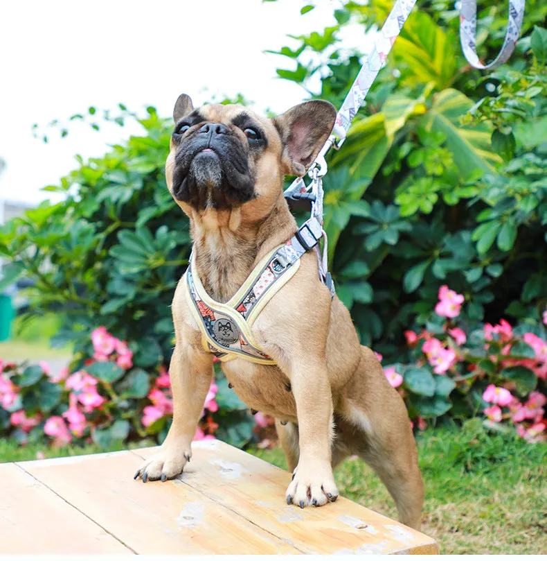 LucentLead Frenchie Adjustable Harness and Leash Set