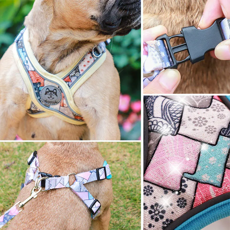 LucentLead Frenchie Adjustable Harness and Leash Set
