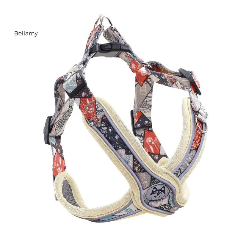 LucentLead Frenchie Adjustable Harness and Leash Set
