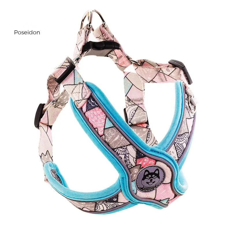 LucentLead Frenchie Adjustable Harness and Leash Set