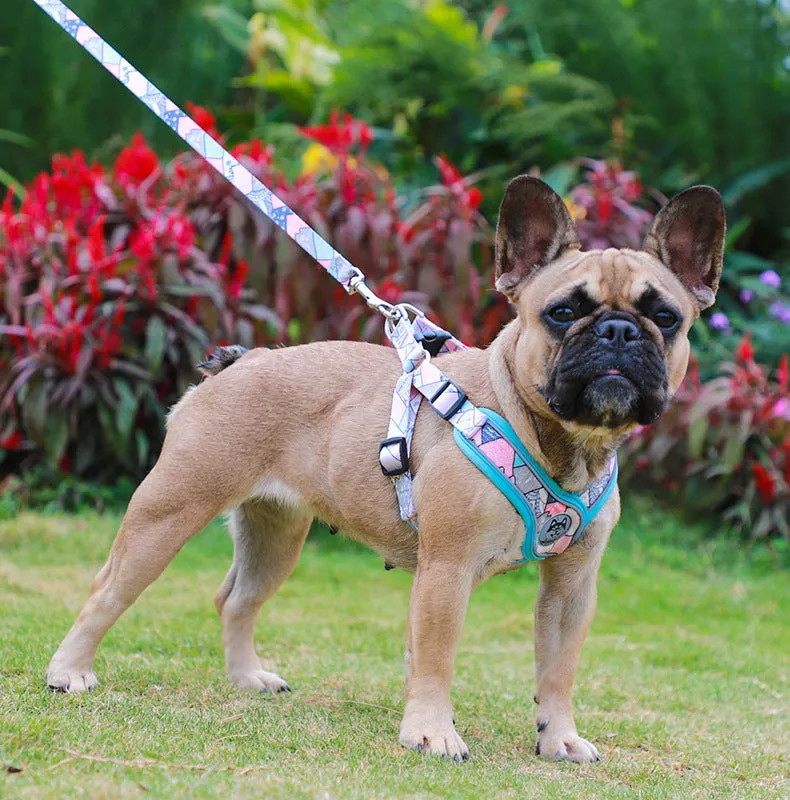 LucentLead Frenchie Adjustable Harness and Leash Set