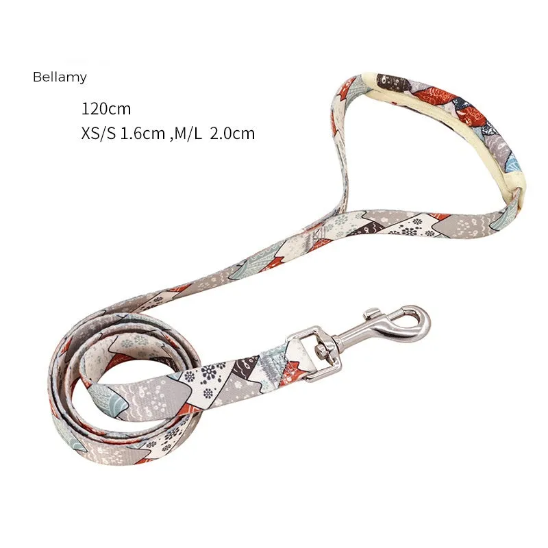 LucentLead Frenchie Adjustable Harness and Leash Set