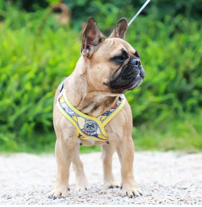 LucentLead Frenchie Adjustable Harness and Leash Set