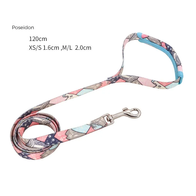 LucentLead Frenchie Adjustable Harness and Leash Set
