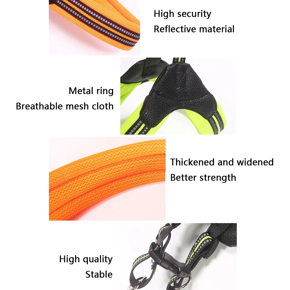 PAWS ASIA Factory Reflective Breathable Mesh Tough Tactical Dog Harness Set