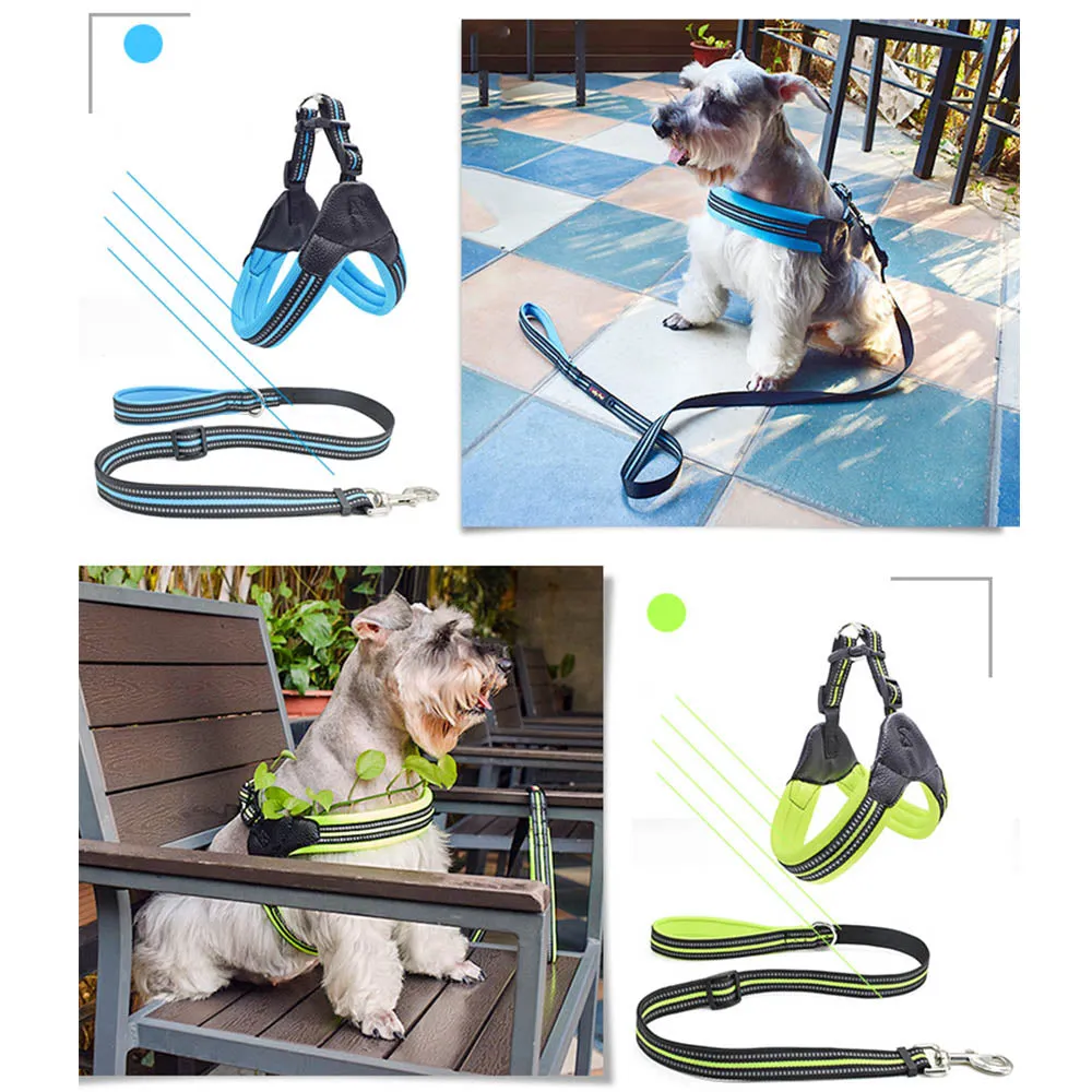 PAWS ASIA Factory Reflective Breathable Mesh Tough Tactical Dog Harness Set