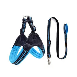 PAWS ASIA Factory Reflective Breathable Mesh Tough Tactical Dog Harness Set