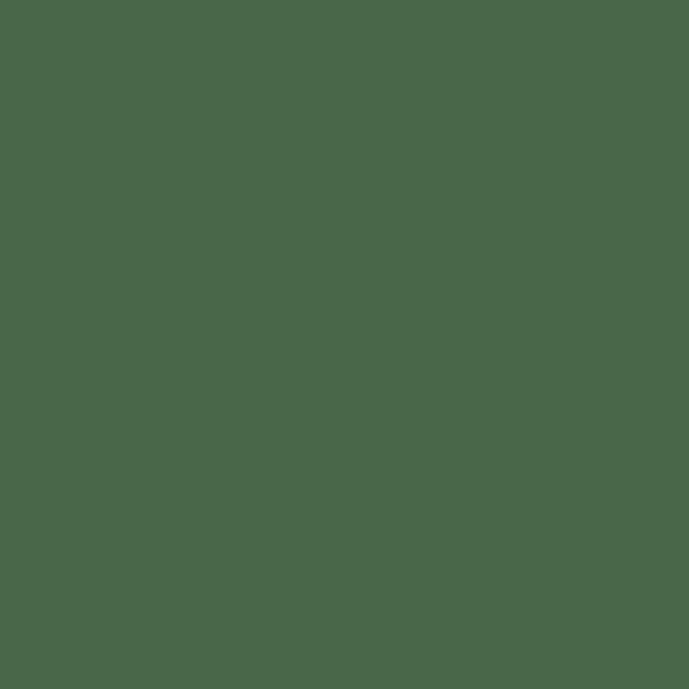 PETMAKER 48x35.5 Elevated Dog Bed, Green