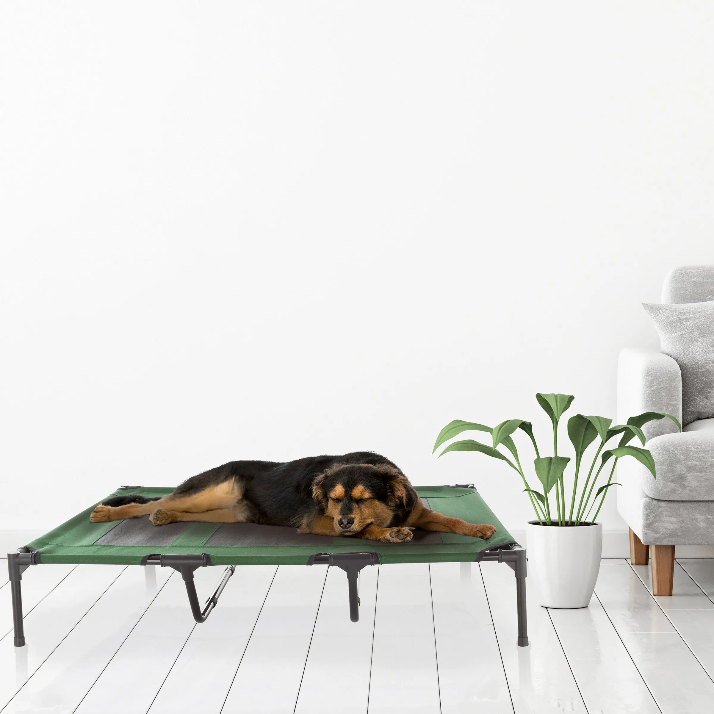 PETMAKER 48x35.5 Elevated Dog Bed, Green