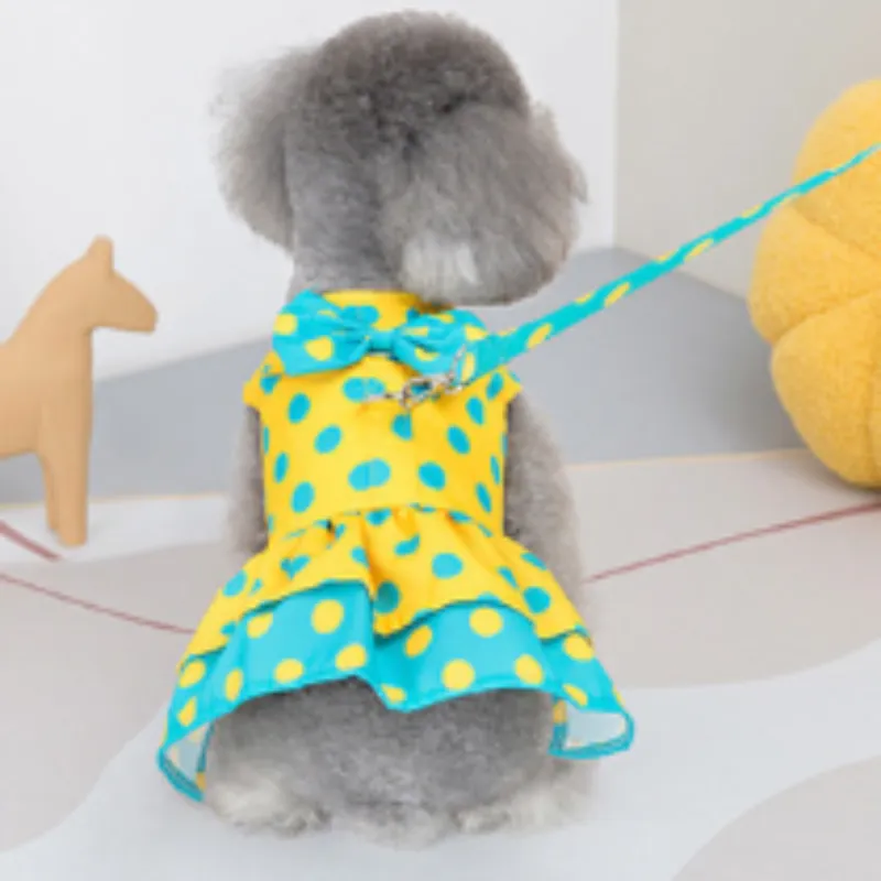 Polka Dot Dress Harness/Leash Set
