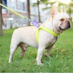 Pureleash™️ - French Bulldog Harness And Leash