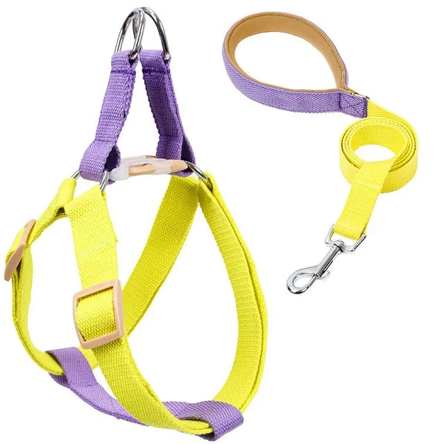 Pureleash™️ - French Bulldog Harness And Leash