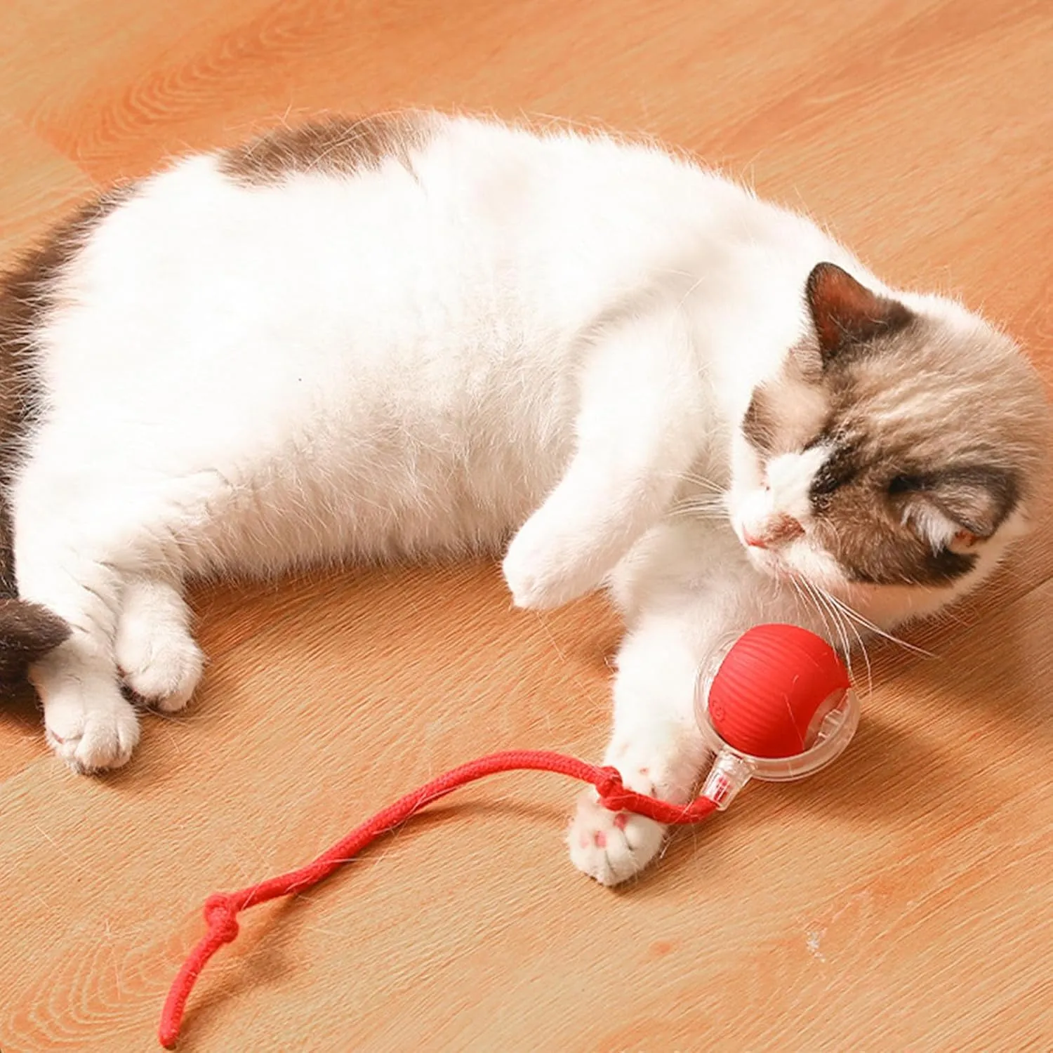 Rollie Pet Interactive Smart Cat & Dog Toy, Motion Activated 360 Electric Self Rolling Ball for Large & Small Pets (Red-A)