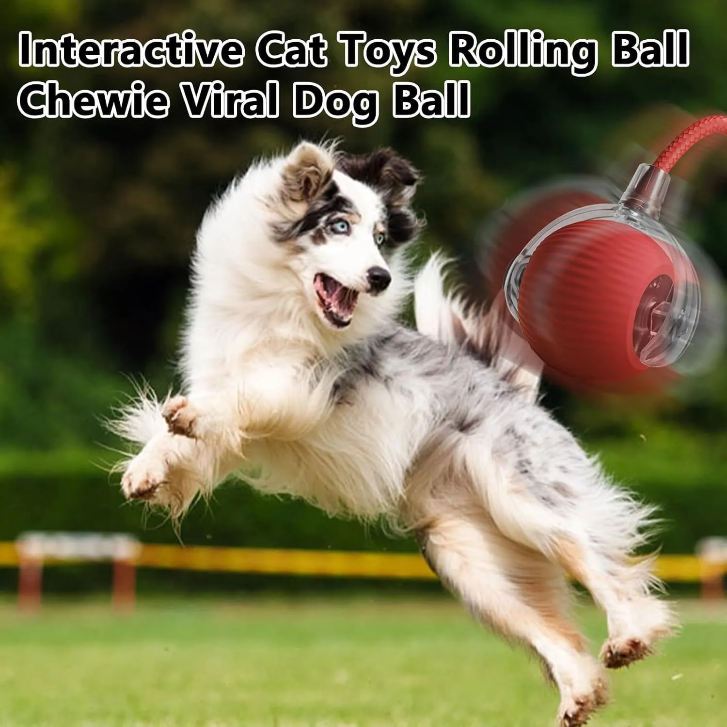Rollie Pet Interactive Smart Cat & Dog Toy, Motion Activated 360 Electric Self Rolling Ball for Large & Small Pets (Red-A)
