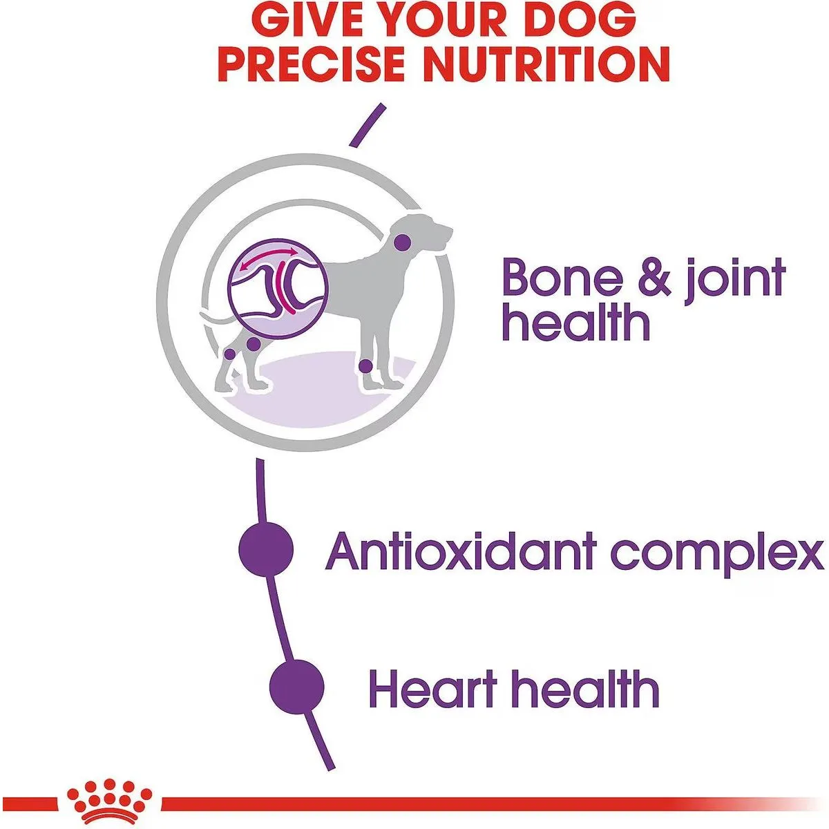 Royal Canin® Size Health Nutrition™ Giant Adult Dry Dog Food