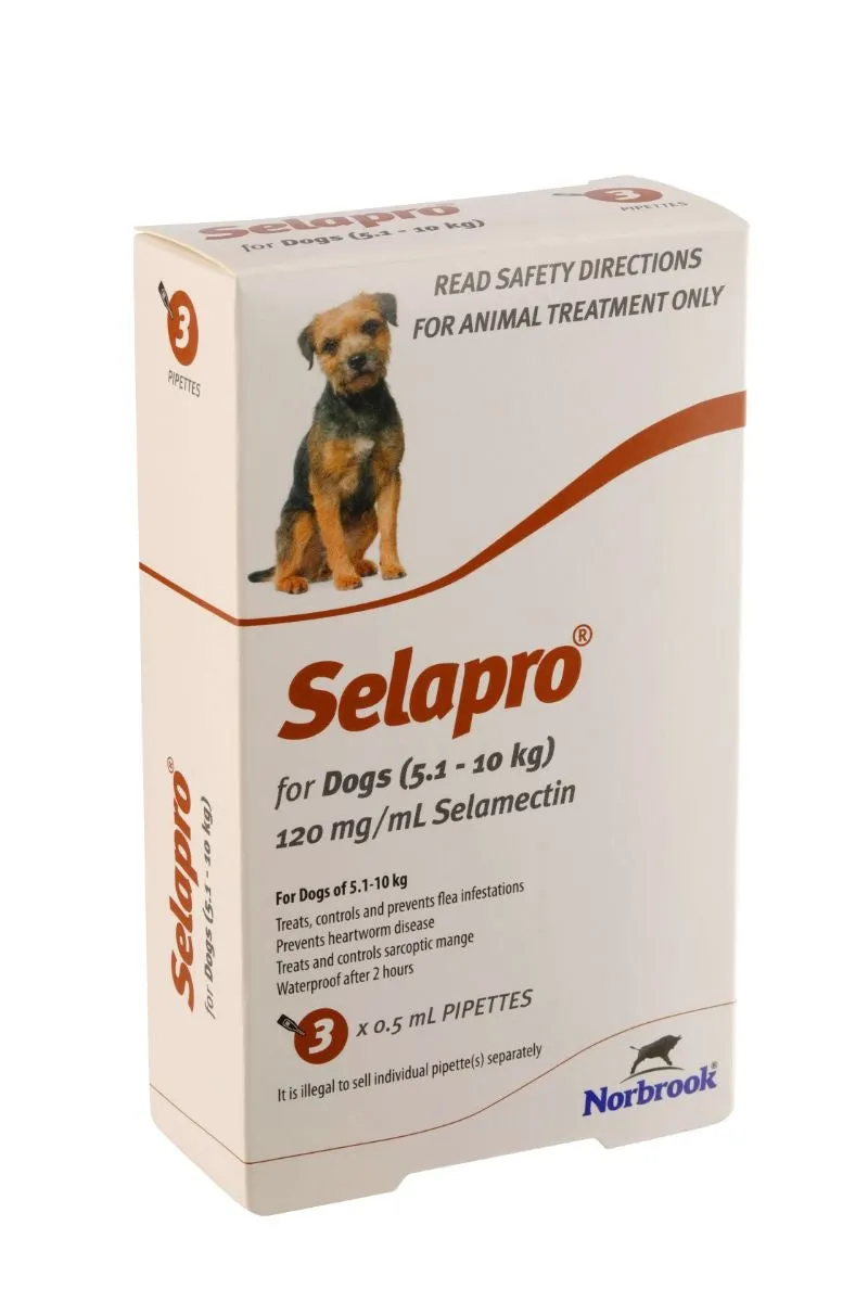 Selapro Flea & Worming Spot On Treatment 5.1-10kg Dog