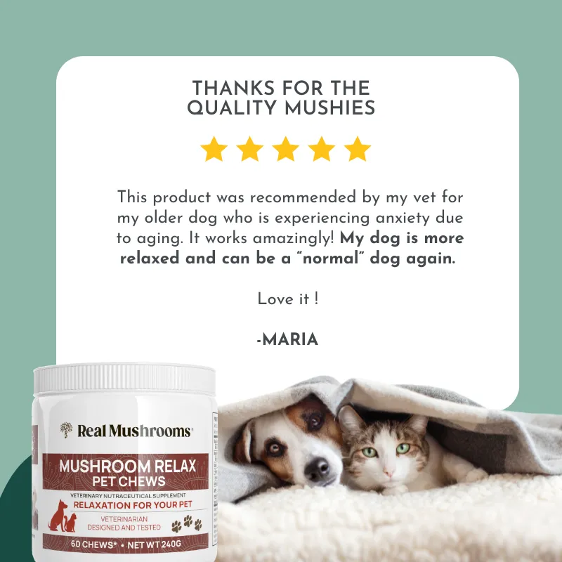 Ultimate Calm Your Pet