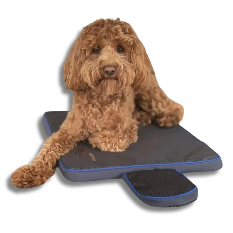 Ultimate Calm Your Pet