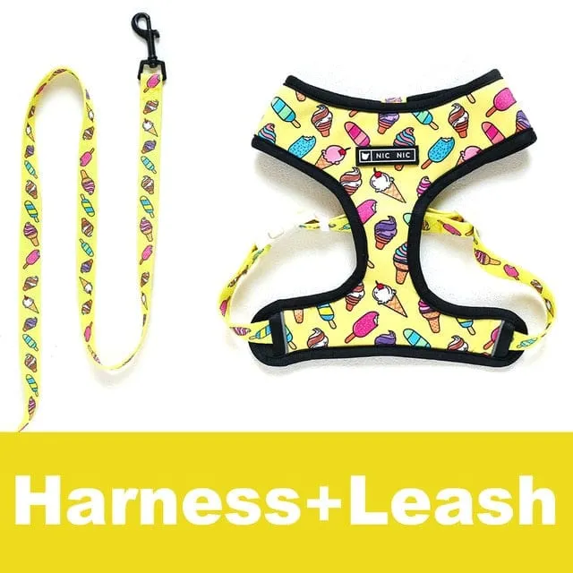 Unicorn Dachshund Harness and Leash Set