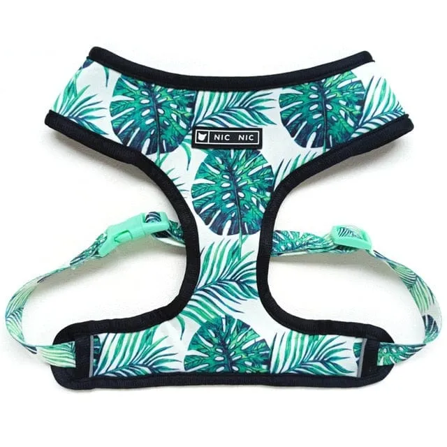 Unicorn Dachshund Harness and Leash Set