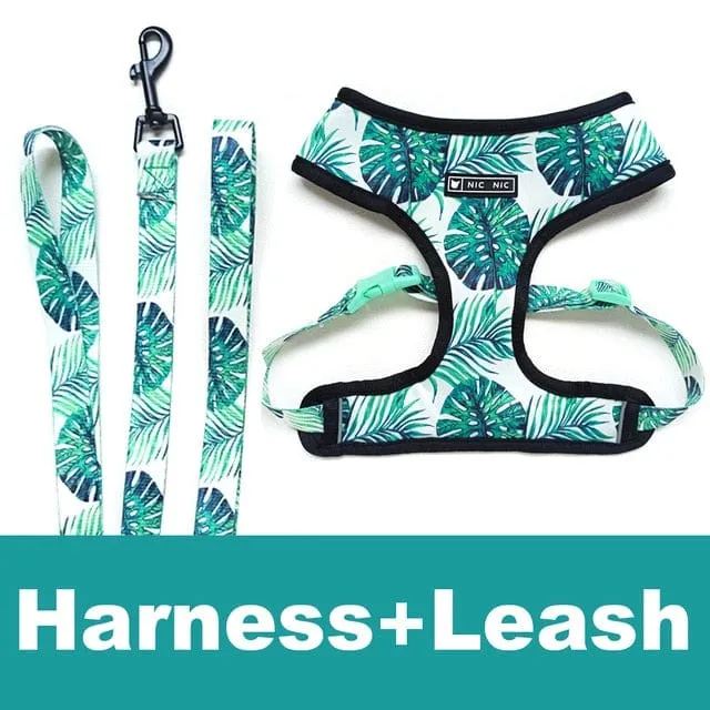 Unicorn Dachshund Harness and Leash Set
